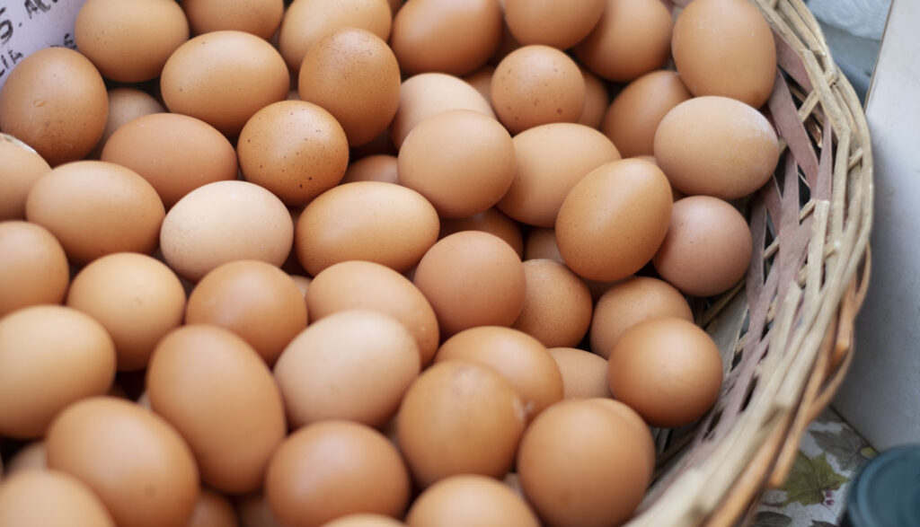 Sobreproducción de huevos. imagen referencial de freepick.