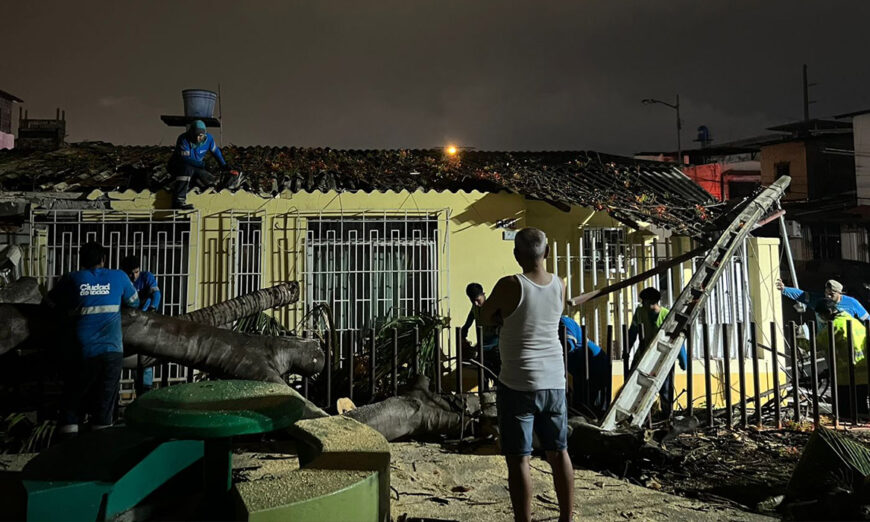 Cayó un árbol cayó en la cuarta etapa de la Alborada. Foto de X.