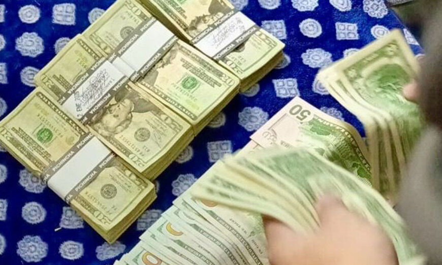 Dólares incautados ANT