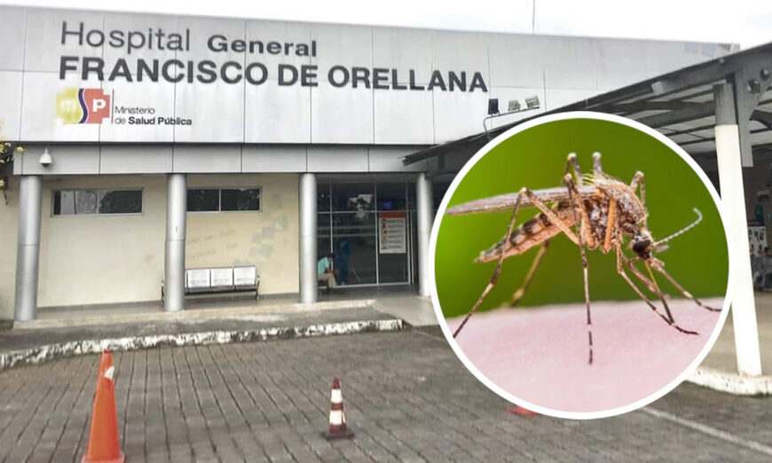 Fiebre Amarilla