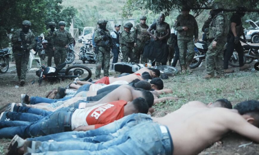 Narcofiesta